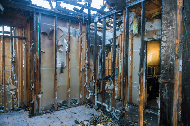 Professional Fire Damage Removal technician working in Canton, SD